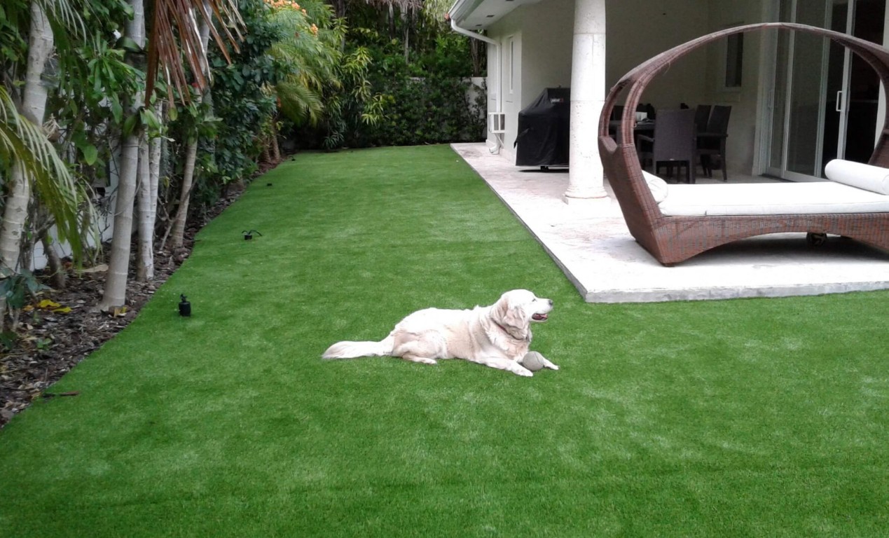 Pet-safe artificial grass with drainage system